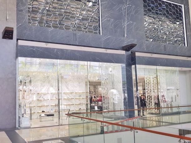 Elegant Glass Panel and Swing Door for Retail Storefront