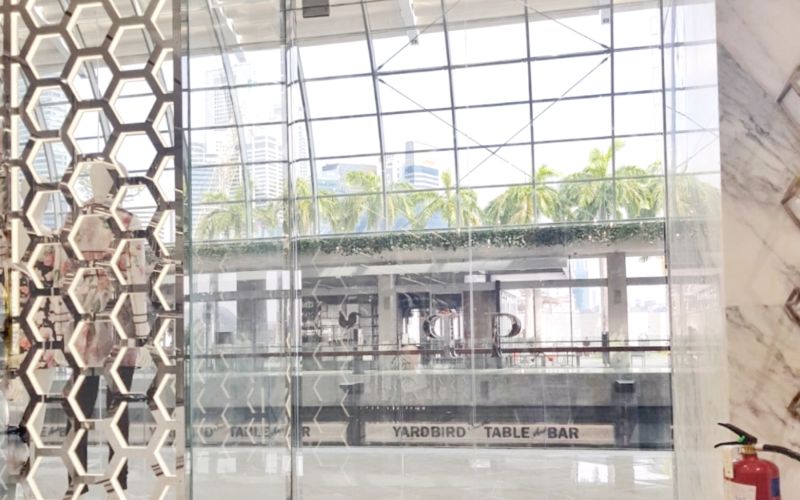 Elegant Glass Panel and Swing Door for Retail Storefront