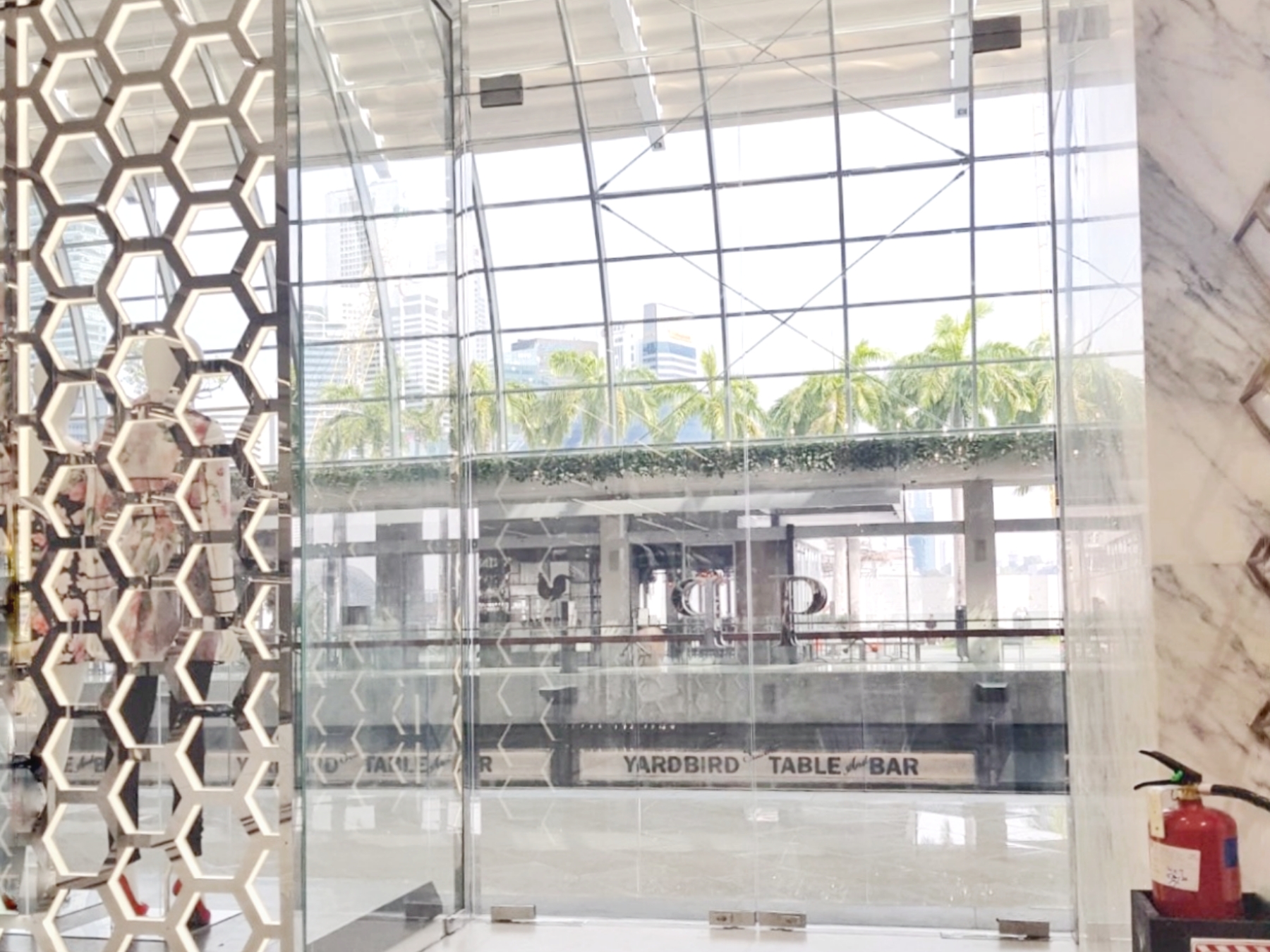 Elegant Glass Panel and Swing Door for Retail Storefront